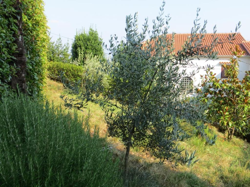 Villa Luppo Ičići Extérieur photo